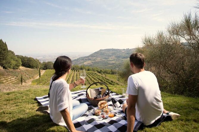 Full Day Tour in Douro Valley With Wine Tasting - Tour Pricing and Booking Details