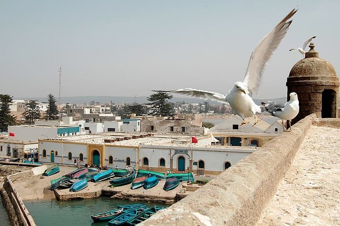 Full Day Tour in Essaouira Marrakech - Inclusions and Exclusions