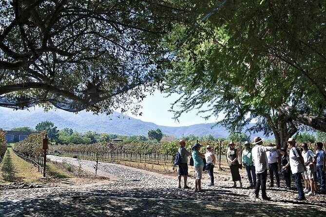 Full Day Tour in Finca Estramancia Vineyard with stop in Chapala - The Tranquility of Lake Chapala