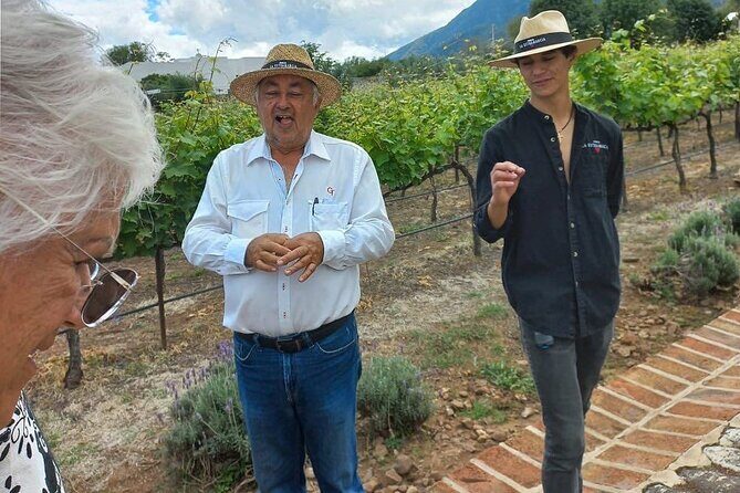 Full Day Tour in Finca Estramancia Vineyard with stop in Chapala - Practical Details and What to Expect