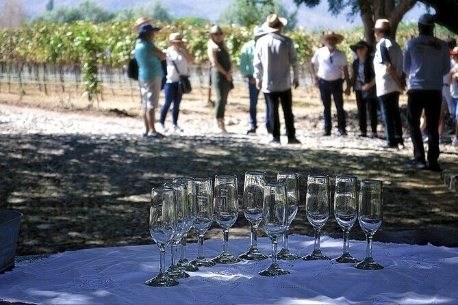 Full Day Tour in Finca Estramancia Vineyard with stop in Chapala - Authentic Insights from Reviewers