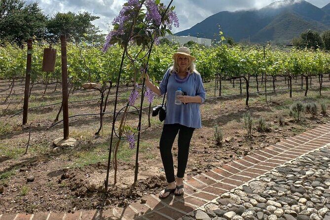 Full Day Tour in Finca Estramancia Vineyard with stop in Chapala - Who This Tour is Best For