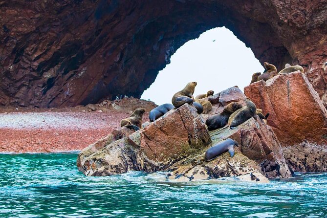 Full Day Tour in Lima Paracas Ica - Good To Know