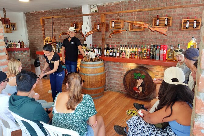 Full Day Tour in Lima Paracas Ica - Transportation Details
