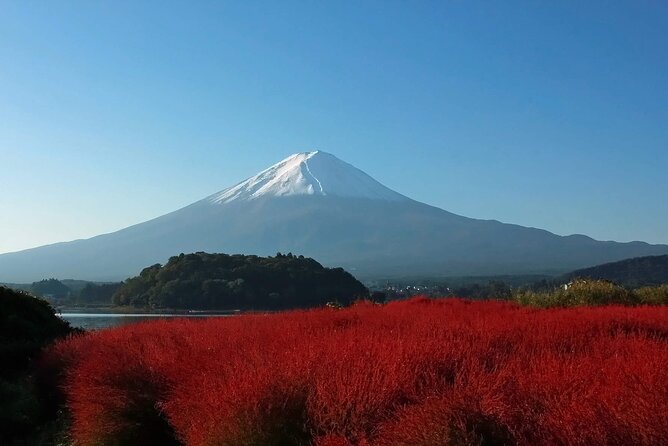Full Day Tour in Mount Fuji and Oishi Park With Fruit Picking - Additional Information and Tips