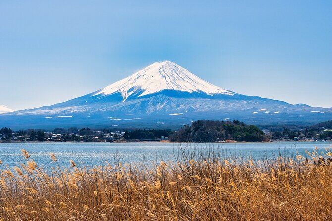 Full Day Tour in Mt. Fuji and Hakone with English Speaking Driver - An In-Depth Look at the Full Day Tour in Mt. Fuji and Hakone