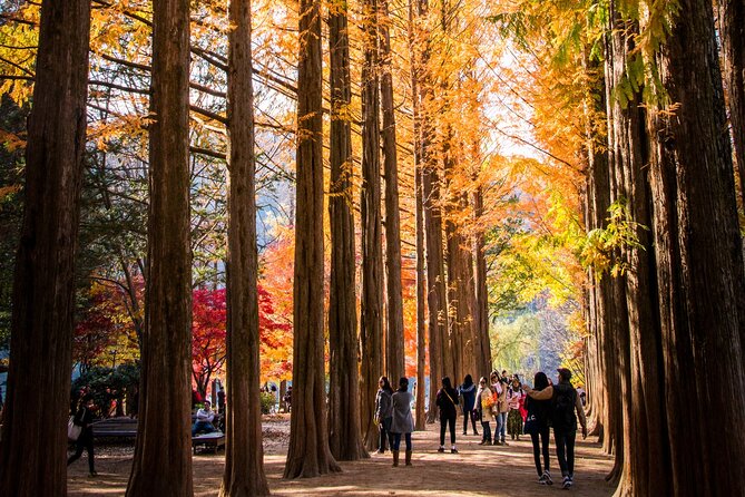 Full Day Tour in Nami Island Sansa Garden and Gangchon Rail Park - Cancellation Policy