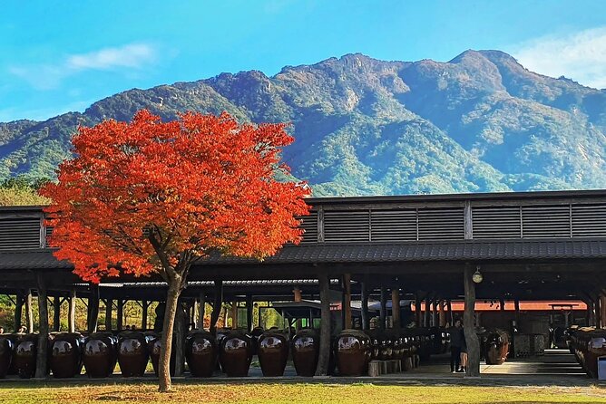 Full Day Tour in Nami Island Sansa Garden and Gangchon Rail Park - Nami Island