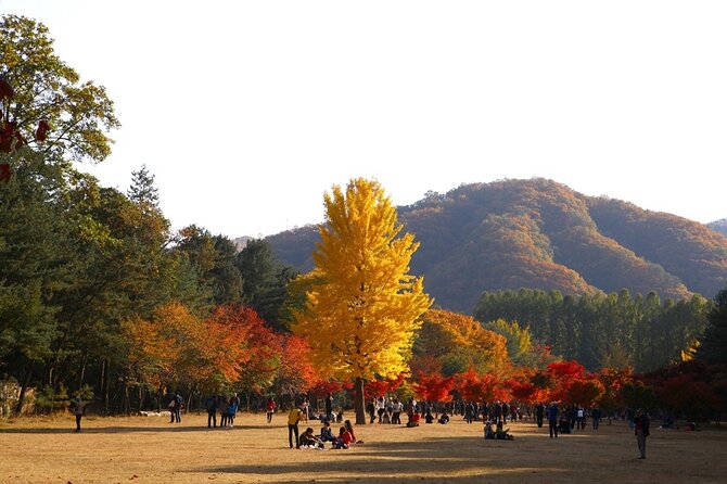 Full Day Tour in Nami, Sansa Garden and Garden of Morning Clam - Professional Guided Tour