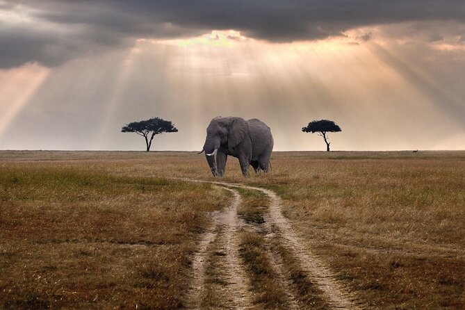 Full-Day Tour in Ngorongoro Crater - Packing Essentials