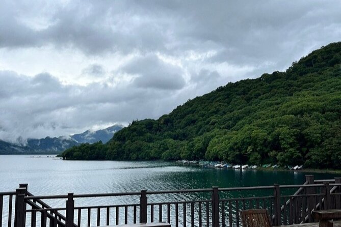 Full Day Tour in Nikko With Pickup - Pricing and Guarantee