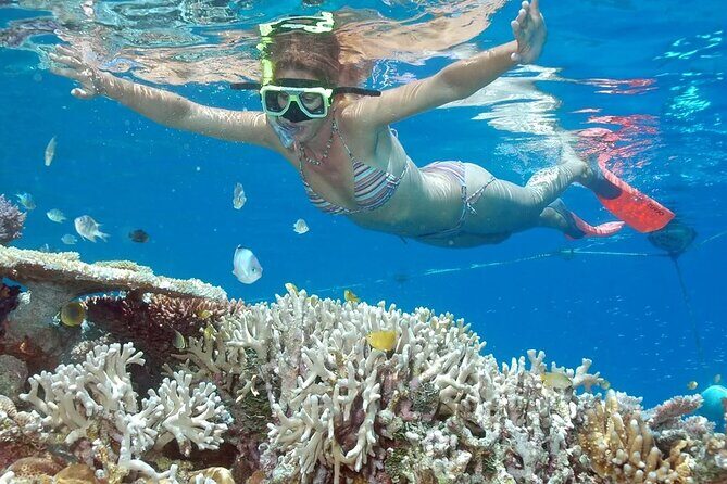 Full-Day Tour in Nusa Penida Island + Snorkeling Experience - Good To Know