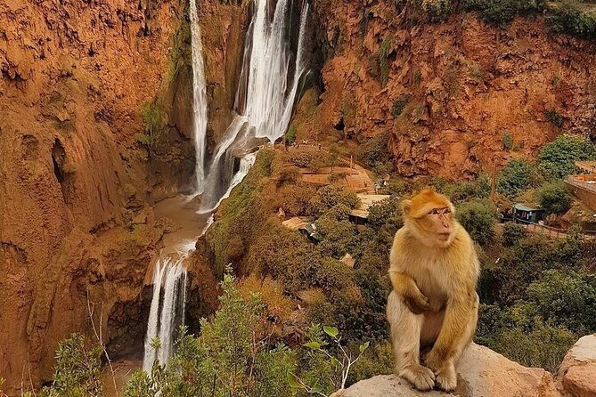 Full-Day Tour in Ouzoud Waterfalls From Marrakech With Pick up - Tour Logistics
