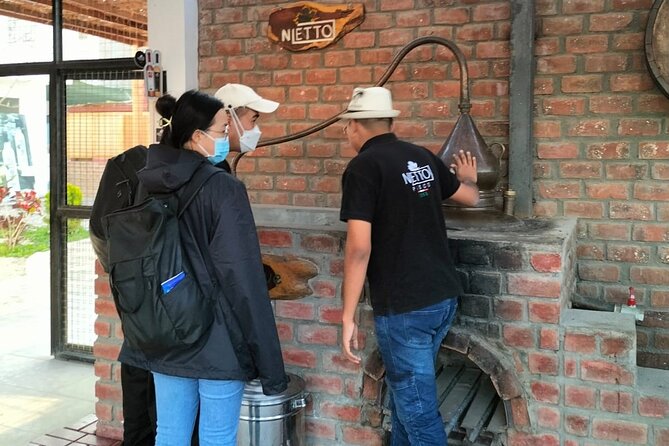 Full Day Tour in Paracas-Ica and Oasis Huacachina - Return to Paracas