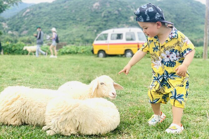 Full Day Tour in Rai Cave to Vinh Hy to Vineyard and Sheeps Farm - Final Thoughts