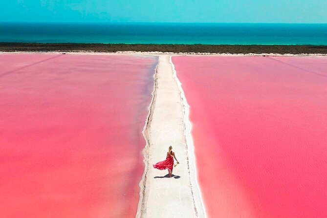Full Day Tour in Rio Lagartos and Coloradas With Lunch - Common Questions
