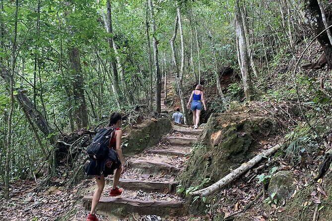 Full Day Tour in Samana and visit to Cascada el Limón - Who Is This Tour Best For?