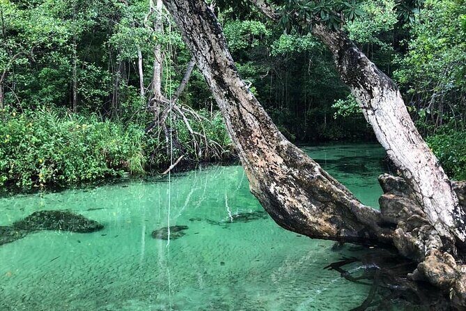 Full-Day Tour in Samaná Serenity - What You Can Expect from the Tour