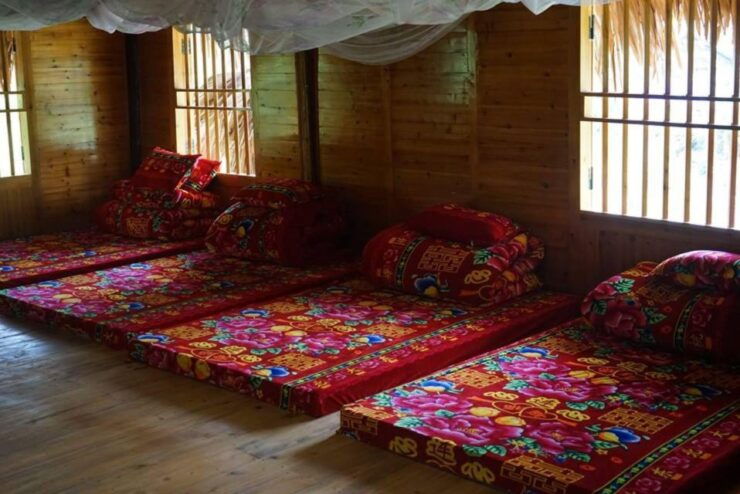 Full Day Tour in Sapa Trekking With Local Guide - Good To Know