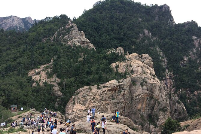 Full-Day Tour in Seoraksan, Alpaca World, and Nami Island - Pricing and Booking Details