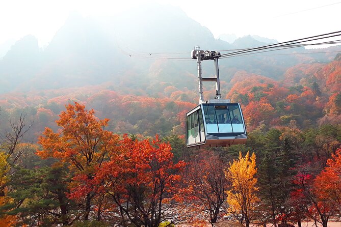 Full-Day Tour in Seoraksan, Alpaca World, and Nami Island - Tour Overview