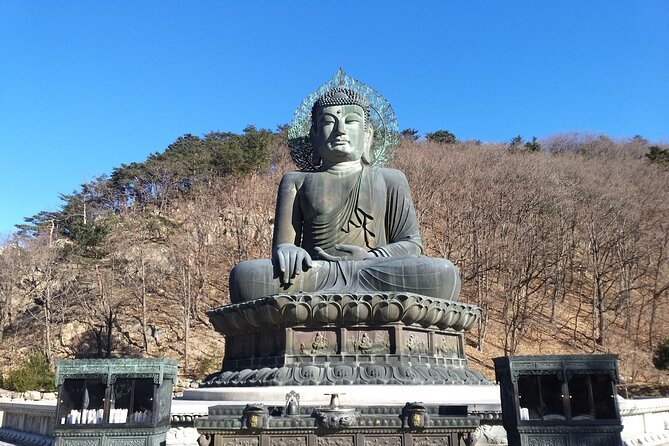 Full-Day Tour in Seoraksan, Alpaca World, and Nami Island - Meeting and Pickup