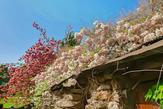 Full Day Tour in Seosan Gaesimsa, Munsusa and Suwon Hwaseong - Exploring the Itinerary in Detail