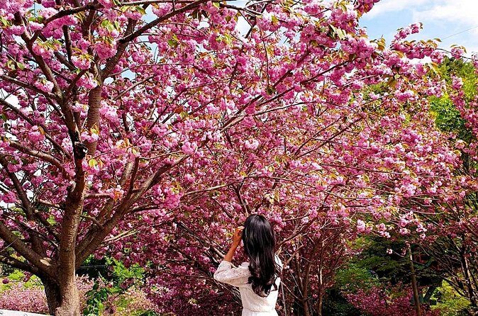 Full Day Tour in Seosan Gaesimsa, Munsusa and Suwon Hwaseong - Final Thoughts