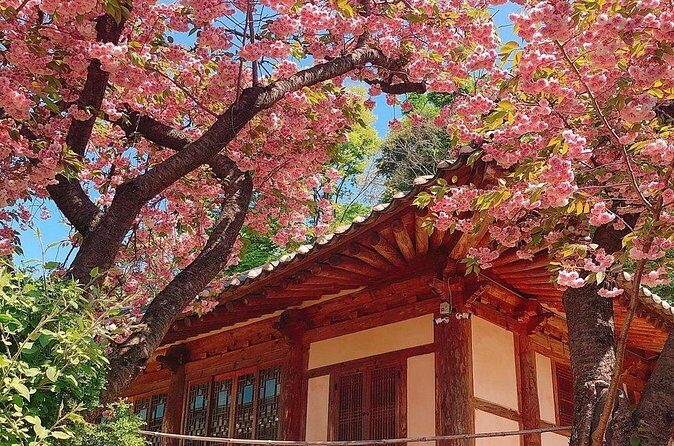 Full Day Tour in Seosan Gaesimsa, Munsusa and Suwon Hwaseong - FAQs