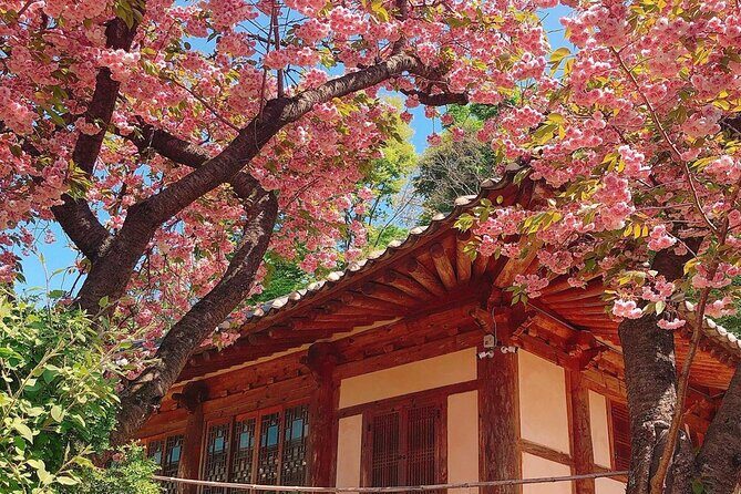 Full Day Tour in Seosan Gaesimsa, Munsusa and Suwon Hwaseong - Good To Know