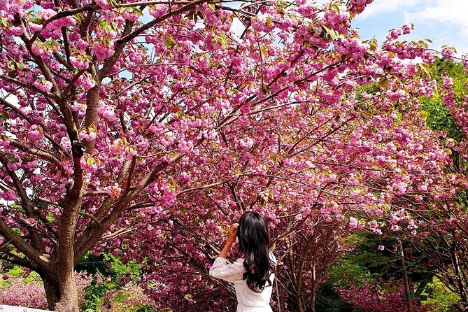 Full Day Tour in Seosan Gaesimsa, Munsusa and Suwon Hwaseong - Gaesimsa Temple: Remote Beauty & Cherry Blossom Bliss