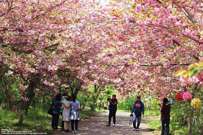 Full Day Tour in Seosan Gaesimsa, Munsusa and Suwon Hwaseong - Authentic Experiences & Insider Tips