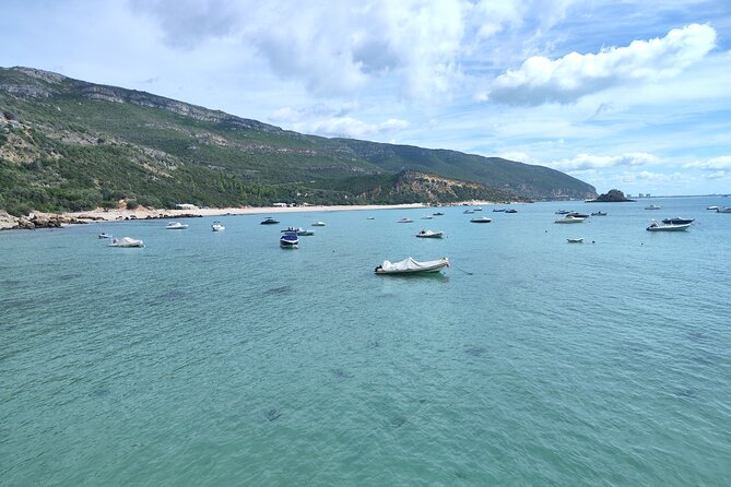 Full Day Tour in Setúbal, Exploring Castles, Mountains, and Beaches - History and Architecture of Setúbals Castles