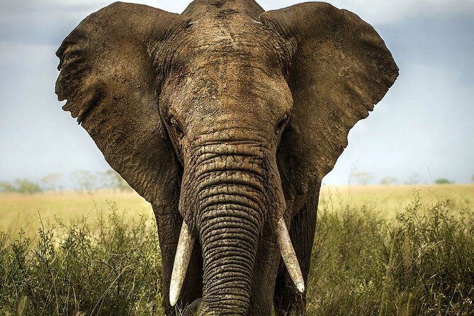 Full Day Tour in Small Group to Aquila Safari With Wine Tasting - Tour Details