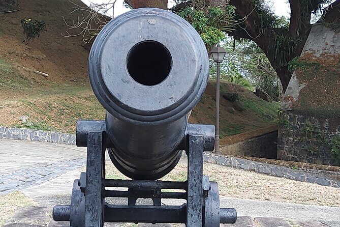 Full Day Tour in Tobago Island with Lunch - Exploring Tobago: A Full Day Tour of the Island’s Best