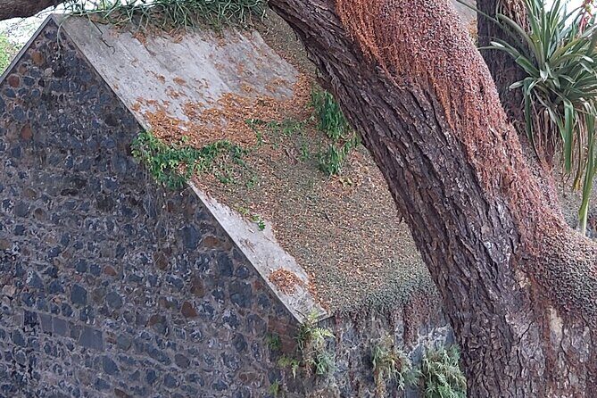 Full Day Tour in Tobago Island with Lunch - FAQ