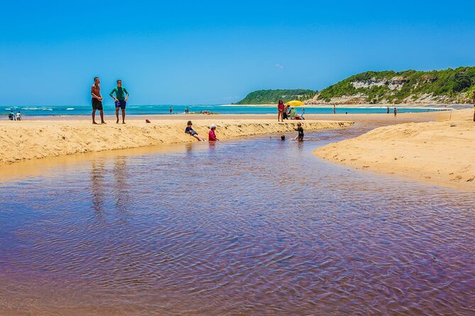 Full Day Tour in Trancoso With Chocolate Factory - Tour Overview
