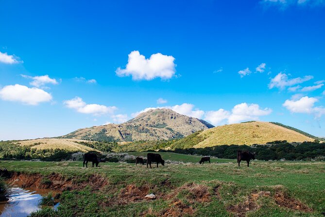 Full-Day Tour in Yangmingshan & Beitou From Taipei - Tour Highlights