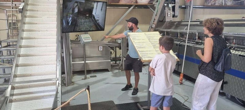 Full day tour Knossos,Zeus's land,lasithi&olive oil factory - Practical Details and What You Need to Know