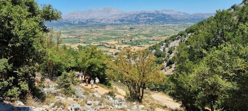 Full day tour Knossos,Zeus's land,lasithi&olive oil factory - Who is This Tour Best For?