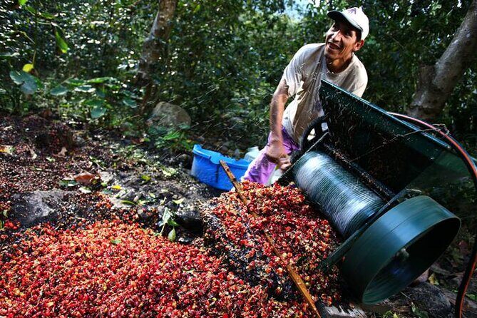 Full-Day Tour Llano Grande Waterfalls and Coffee Plantation in Huatulco! - FAQ