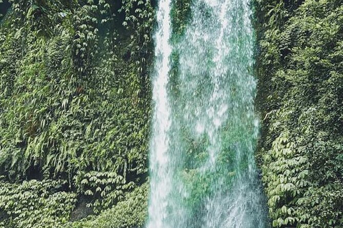 Full Day Tour Lombok North : Beaches, Mountain, Waterfalls and Sembalun - North Lombok: A Visual Delight