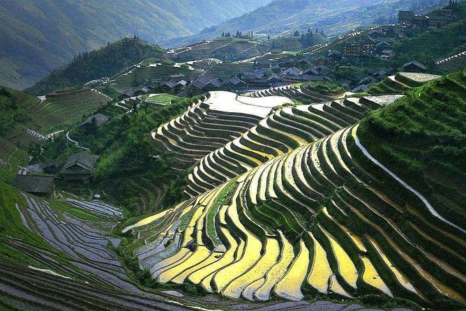 Full-day Tour: Longji Rice Terraces & Minority Villages - Itinerary Highlights
