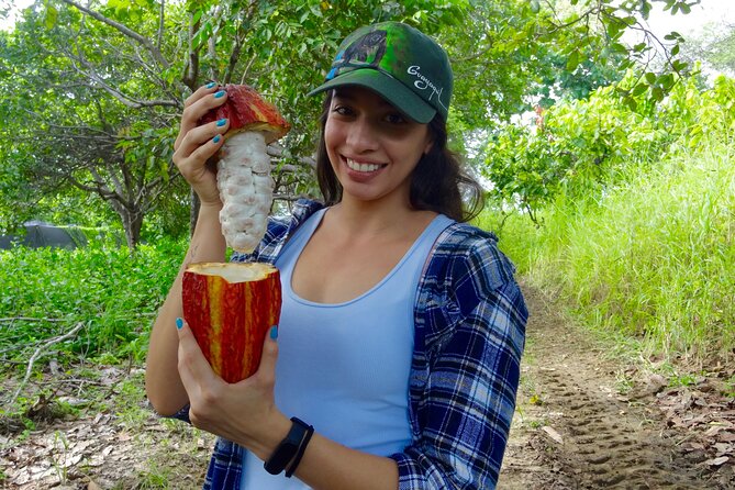 Full Day Tour Mangroves, Dolphins and Cocoa Farm From Guayaquil - Location Details