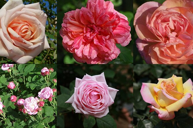 Full Day Tour Medieval Villages Grasse Gourdon Tourettes St Paul - Weather Policy