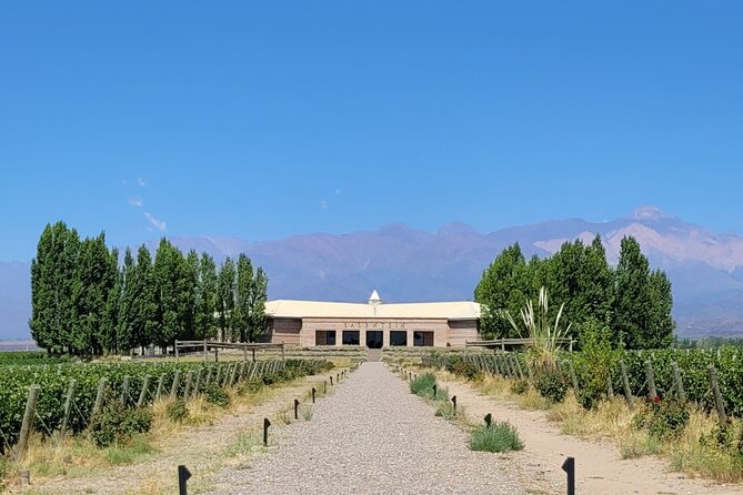Full Day Tour Mendoza Wineries in the Uco Valley - Winery Visits