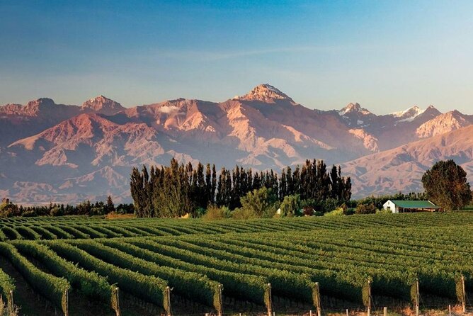 Full Day Tour Mendoza Wineries in the Uco Valley - Additional Information