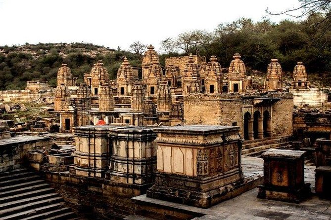 Full Day Tour of Ancient Temples of Garhi Padavali, Mitavali & Bateshwar - Tour Inclusions