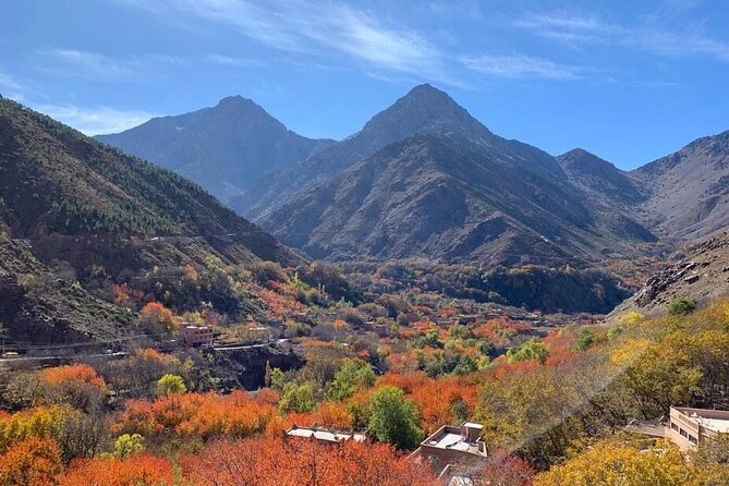 Full-Day Tour of Atlas Mountains With Camel Ride - Pickup and Drop-off