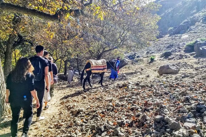 Full-Day Tour of Atlas Mountains With Camel Ride - Cancellation Policy